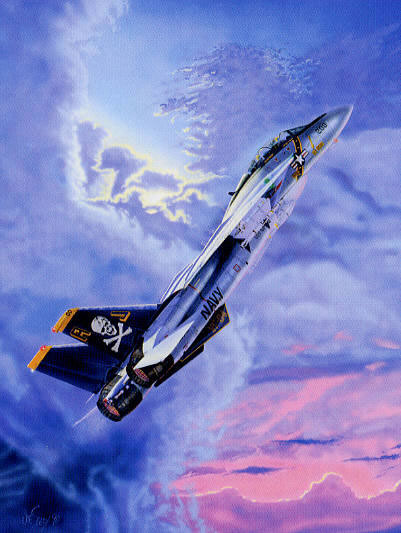 "CAG Cat Sunset" - Joseph Szady - F-14 Tomcat VF-84 Aviation Art